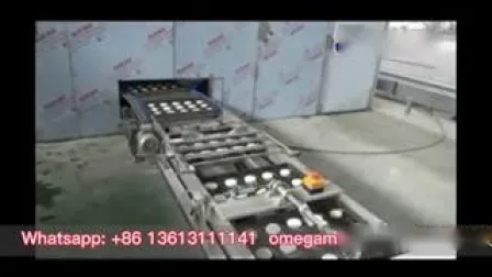 穀物製品製造機 中華包子ハンバーガーパン製造機 ベーカリーパン製造ライン