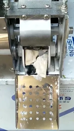 全自動中華餃子製造機 ワンタン餃子製造機